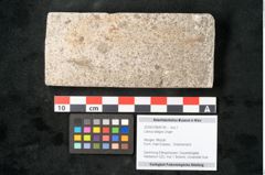 Foto (Objekt + Etikett) von Laurus lalagos Unger (NHMW-GEO-2024-0188-8134)